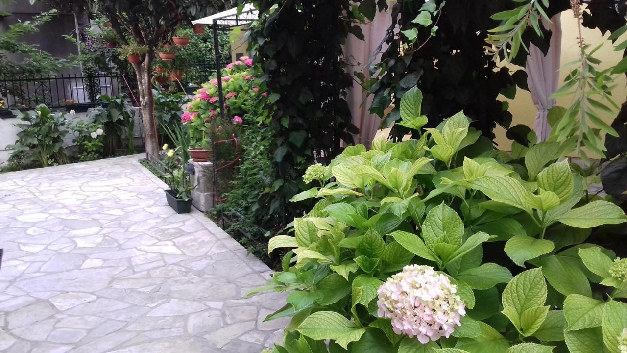 Apartments Matkovic Cattaro Esterno foto